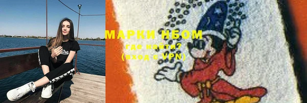 бошки Горнозаводск