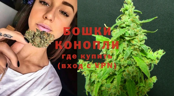 трава Горно-Алтайск