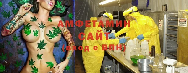 трава Горно-Алтайск