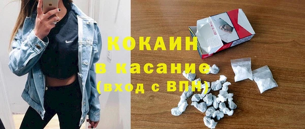 apvp Гусев