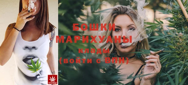 бошки Горнозаводск