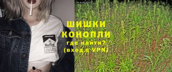 apvp Гусь-Хрустальный
