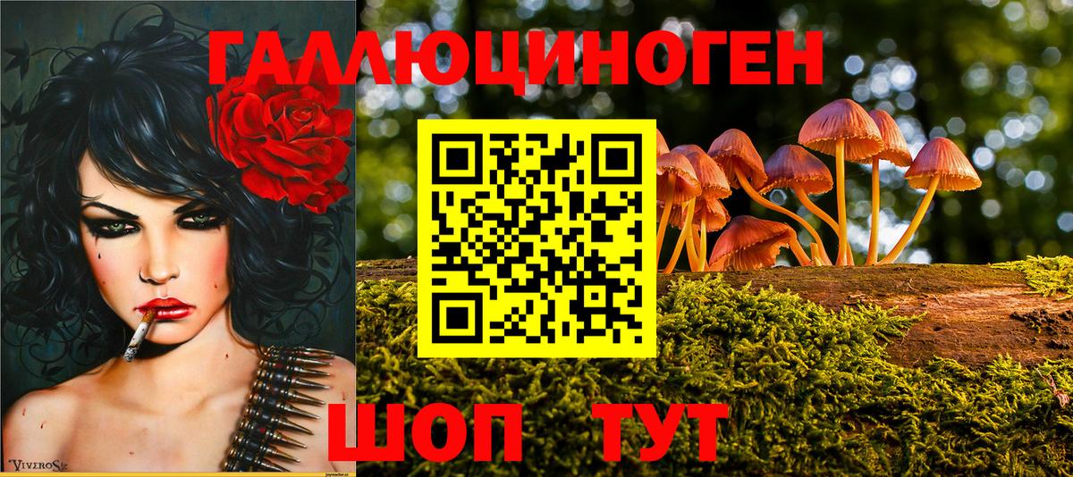 Псилоцибиновые грибы GOLDEN TEACHER Дюртюли