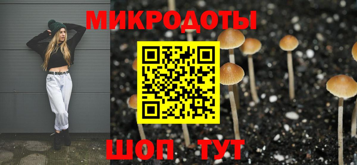 Псилоцибиновые грибы GOLDEN TEACHER  Вход с VPN  где купить   Дюртюли  Псилоцибиновые грибы Psilocybine cubensis 